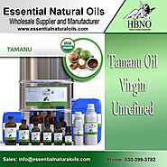 Tamanu Oil Virgin Unrefined Organic - Bulk and Wholesale - Essential Natural Oils