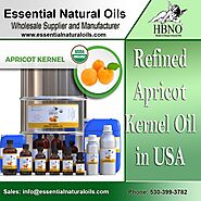 Shop Now! Wholesale Refined Apricot Kernel Oil in USA