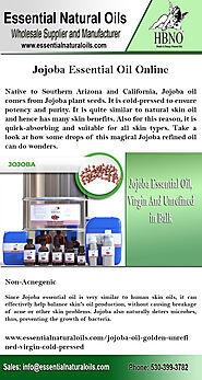 Avail Jojoba Essential Oil Online at Essential Natural Oils