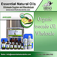 Shop Now! Purchase Wholesale Avocado Oil, Refined - Essential Natural Oils