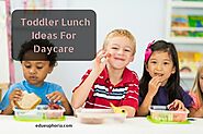 10 Best And Nutritious Toddler Lunch Ideas For Daycare