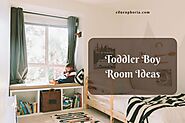 Get Stunning Toddler Boy Room Ideas