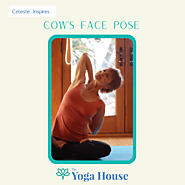 Cow's Face Pose - Excellent for reducing anxiety!