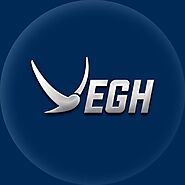 Electric Scooter Dealership Opportunity – Join Vegh Automobiles!