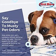 Trained Pet Odor Removal in Riverside, CA
