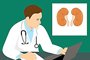 Kidney Stones Ayurveda: The Only Care Tips You Need to Know - Auric