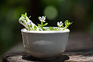 The Amazing Brahmi Benefits for Hair and More, Reducing Hair Fall - Auric