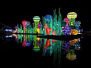 Dubai Garden Glow