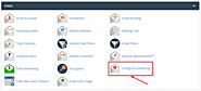 How to Configure Greylisting with cPanel