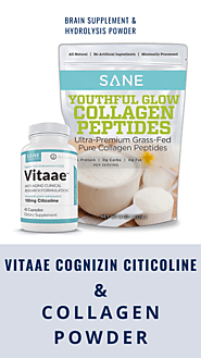 Vitaae Cognizin Citicoline & Collagen powder