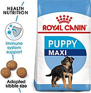 Royal Canin Maxi Puppy Dry Dog Food (Large Breeds)