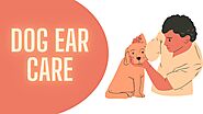 Dog Ear Care Tips And Prevention