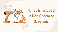 What Can Expect in Dog Grooming Service