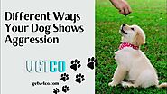 Different Ways Your Dog Shows Aggression