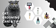 Cat Owners Must Know These Cat Grooming Tips