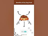 Introduction to Dry Dog Food - Vetco