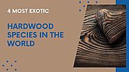 4 Most Exotic Hardwood Species In The World: aqibalmahdi — LiveJournal