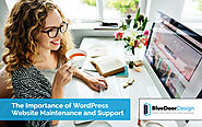 The Importance Of WordPress Website Maintenance And Support