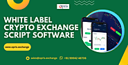 White Label Cryptocurrency Exchange Software | Opris