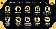 Best 100 Halloween Cat Names With Meaning Based on Personality For Any Cat