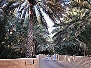 Discover Al Ain Oasis