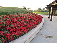 Khalifa Park