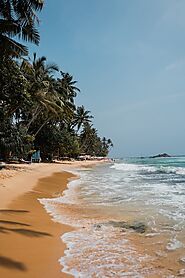 Go for a Day Trip to Unawatuna