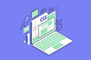 CSS Trends for 2024: Predictions and Expectations