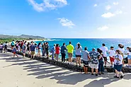 Tour of North Shore (70%) and Sightseeing (30%) - Honolulu, USA - TourMega