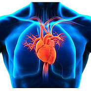 Buy Cardiology Medical Equipment and Supplies Online - MFI Medical