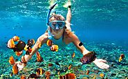 Andaman and Nicobar Tour Packages at Best Price | FFT