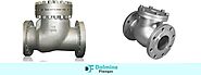 Superior Quality Check Valves Manufacturer, Supplier and Exporter in India - Dalmine Flanges