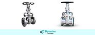 High Quality Bellow Seal Valves Manufacturer, Supplier and Exporter in India - Dalmine Flanges