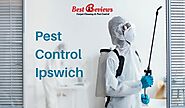 Pest Control Ipswich | Termite Inspection & Treatment - Best Review Cleaning