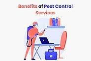 iframely: Benefits of Pest Control Services