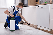 6 Things To Consider When Choosing A Pest Control Company