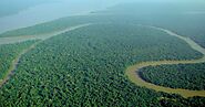 Reasons Travelers Visit the Amazon Forest