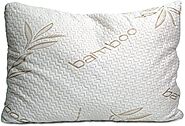 Website at https://www.bamboopillow.net/difference-between-memory-foam-pillow-and-bamboo-pillow/