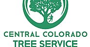 Tree Company Colorado Springs - Central Colorado Tree Service