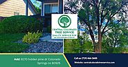 Why Hire Advanced Tree Services in Colorado Springs?
