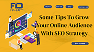 Some Tips To Grow Your Online Audience With SEO Strategy