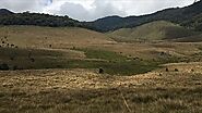 Hike at Horton Plains