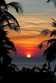 Witness a Tropical Sunset