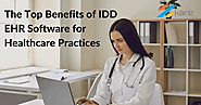 The Top Benefits of IDD EHR Software for Healthcare Practices