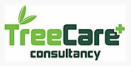 Best Arborist and Tree Assessment Services in Singapore - Prince's Landscape Pte Ltd