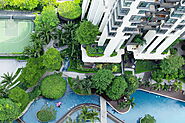 Certified Practising Horticulturist in Singapore - Prince's Landscape Pte Ltd