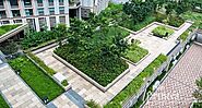 Roof-Top Gardens: The Avant-Garde Gardening Method In Singapore