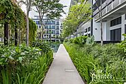 Guide to choosing the right landscape contractor in Singapore