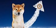 62 percent of Dogecoin owners up: Hope for Twitter integration