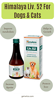 Liv 52 For Dogs and Cats